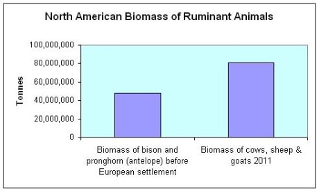 Chart-Ruminant-biomass